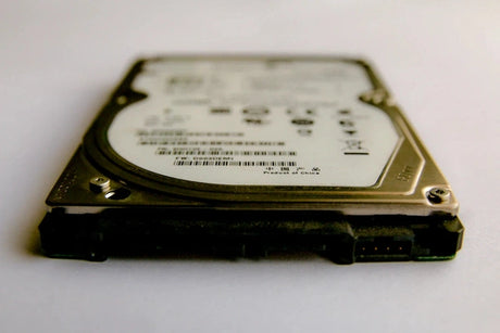 The Importance of Digital Backups for Your Photography