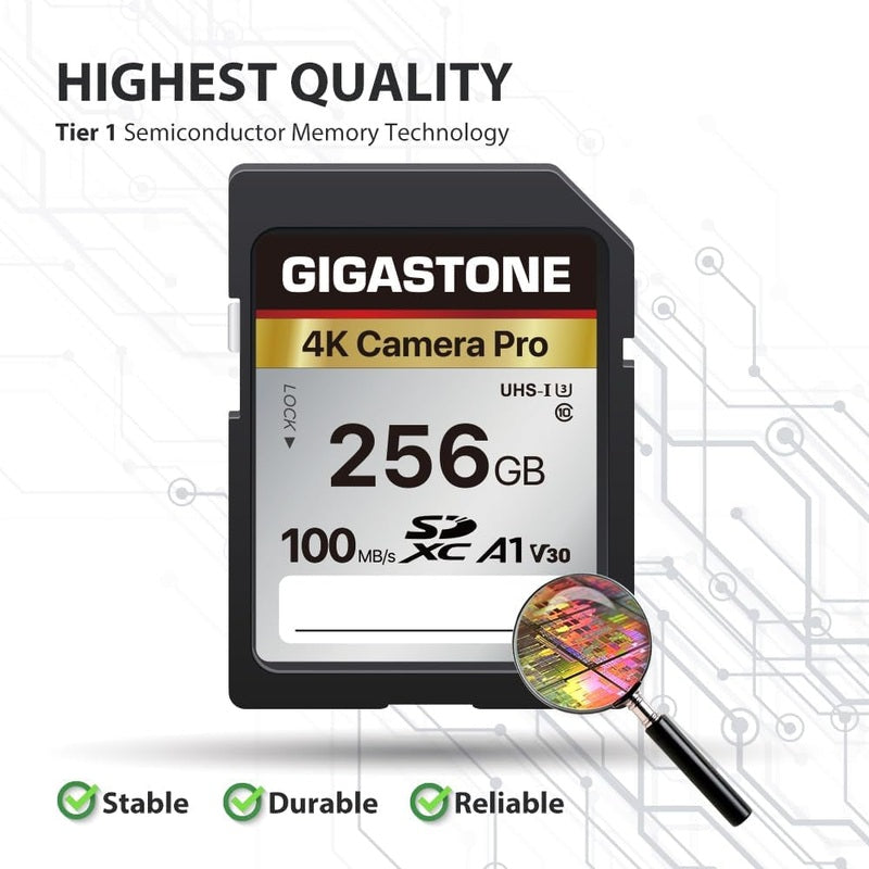 Gigastone Camera Pro Memory Cards