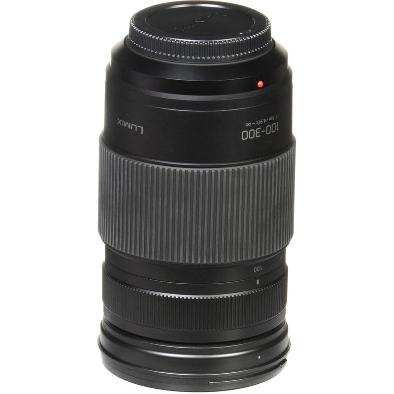 Panasonic Lumix G II Vario 100-300mm f/4-5.6 Power O.I.S. Lens