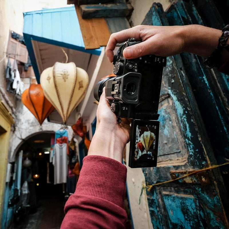 Panasonic Lumix G95 Hybrid Mirrorless Camera w/12-60mm Lens