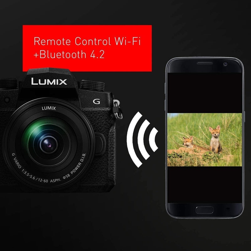 Panasonic Lumix G95 Hybrid Mirrorless Camera w/12-60mm Lens