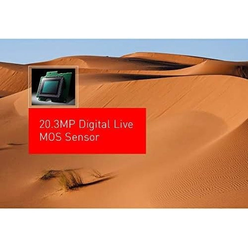 Panasonic Lumix G95 Hybrid Mirrorless Camera w/12-60mm Lens