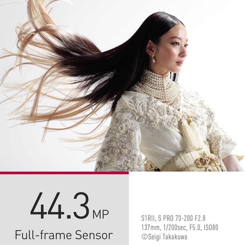 Panasonic Lumix S1R II Mirrorless Camera