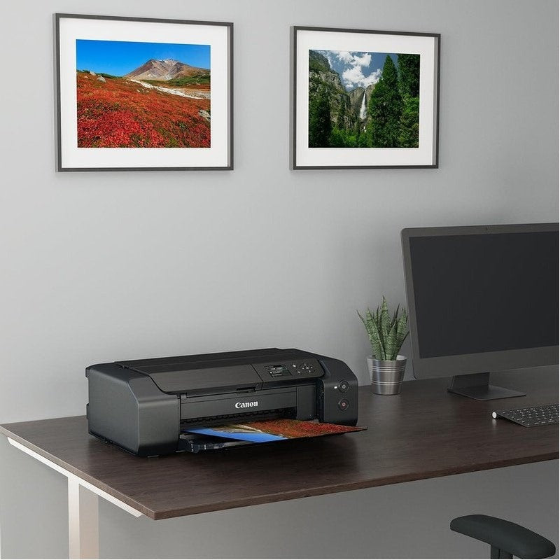 Canon PIXMA PRO-200 Wireless Professional Color Photo Printer