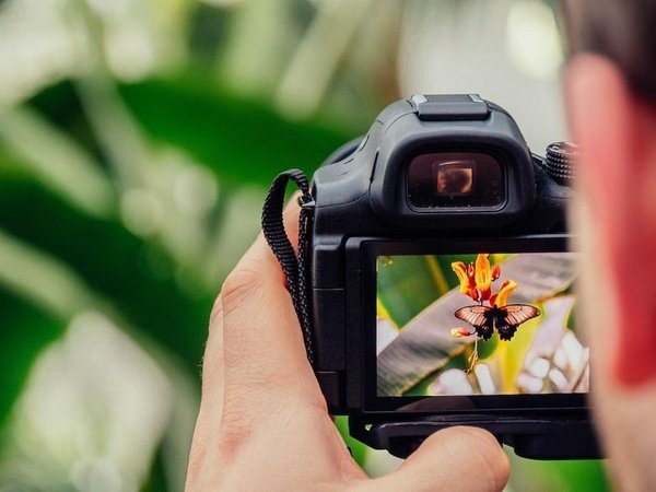 Mastering Manual Mode: A Guide to Taking Control of Your Camera