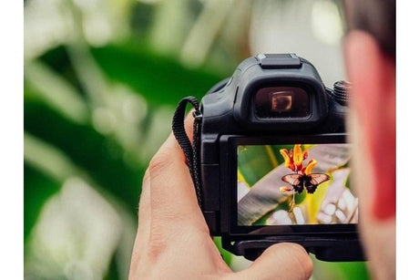 Mastering Manual Mode: A Guide to Taking Control of Your Camera