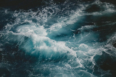 Embrace Nature A Journey through Environmental Photography