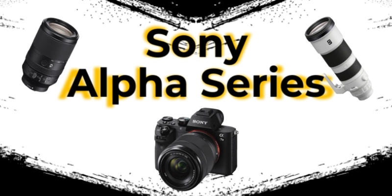 Sony Mirrorless Cameras