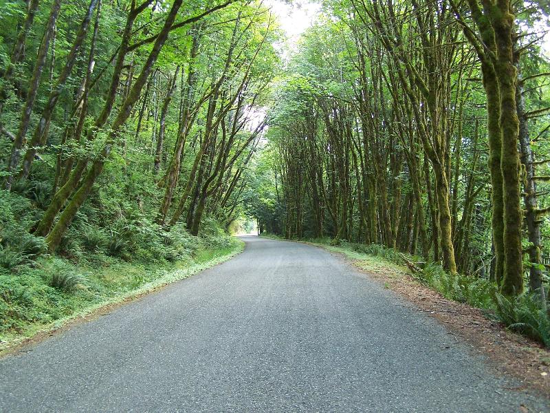 Long Lone Mountain Road