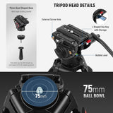 Neewer 74" Pro Video Tripod with Fluid Head, TP74
