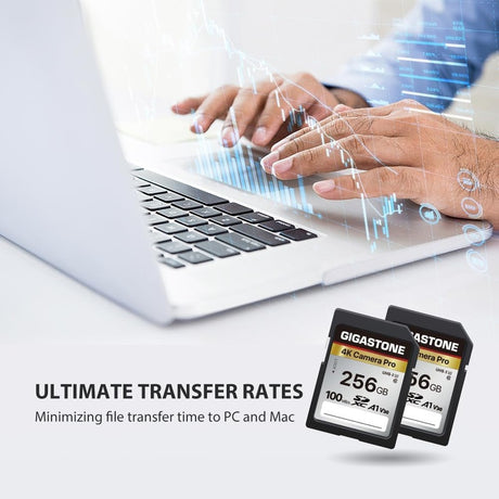 Gigastone Camera Pro Memory Cards