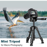 Joilcan Aluminum 25" Mini Tripod w/Remote and Holder