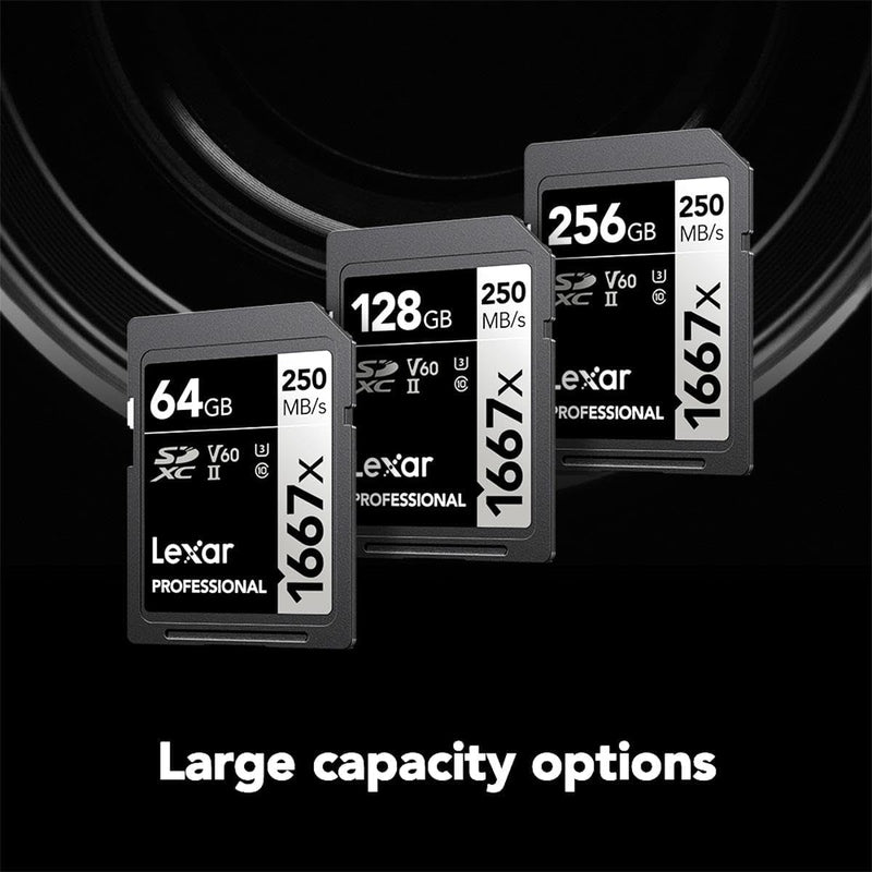 Lexar Professional 1667X SDXC Memory Card