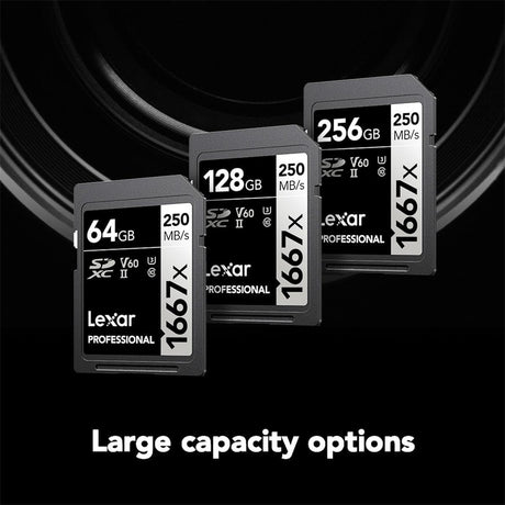 Lexar Professional 1667X SDXC Memory Card