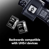 Lexar Professional 1667X SDXC Memory Card