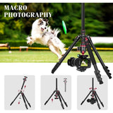 Professional DSLR Camera Tripod & Monopod Stand, 68" for Camera Photography