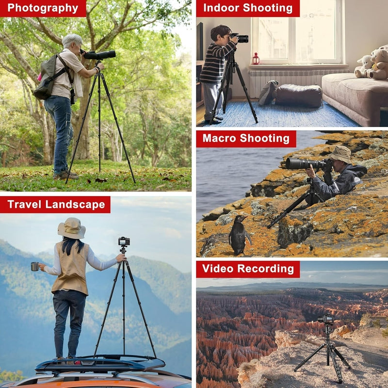 Professional DSLR Camera Tripod & Monopod Stand, 81" for Camera Photography