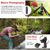 Professional DSLR Camera Tripod & Monopod Stand, 81" for Camera Photography