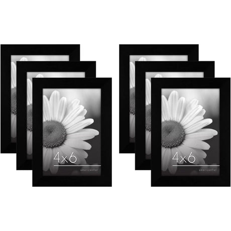 Signature Collection Picture Frame Set for Tabletop or Wall Display