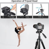 ARTCISE FZ20 70” Lightweight Camera Tripod with Adjustable Ball Head