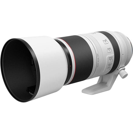 Canon RF 100-500mm F4.5-7.1 L IS USM Lens