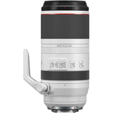 Canon RF 100-500mm F4.5-7.1 L IS USM Lens