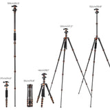 Carbon Fiber Camera Tripod & Monopod, 60" - 68" for Camera Photography with Metal Ball Head