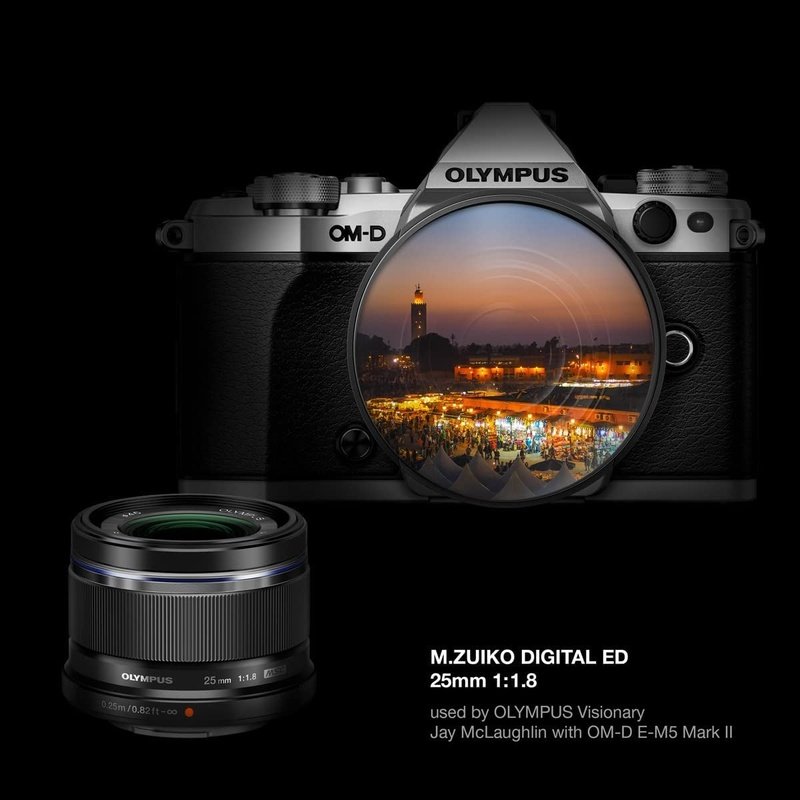 Olympus OM System M.Zuiko Digital 14-42mm f/3.5-5.6 EZ Lens