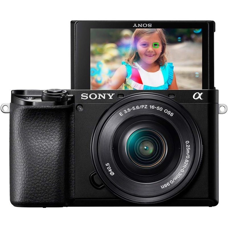 Sony Alpha A6100 Mirrorless Camera